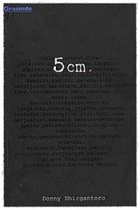 5 cm