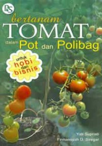 Teknik Budi Daya Tomat Dalam Pot dan Polybag