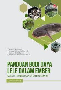 Panduan Budi Daya Lele Dalam Ember