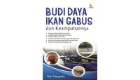 Budi Daya Ikan Gabus dan Keampuhannya